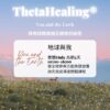 希塔療癒 你與地球 ThetaHealers® You and The Earth