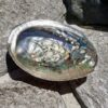 天然貝殼薰香盤(約 9cm*6cm 隨機出貨) Incense Platform